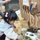 순하농장 네이버블로그