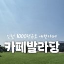 인천 신상 애견카페 카페발라당🐕 | 계양구 대형견 가능 애견운동장 솔직후기🐾