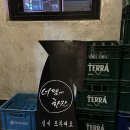 한잔 | 사당 분위기 좋은 가성비 술집 너땜에한잔 후기