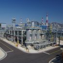 필라케미칼 이미지