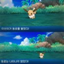 물오름달 이미지