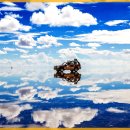 빛과소금 이미지