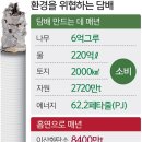 인천선학초등학교 이미지