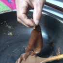 도토리 묵~ 이미지