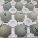 우프동물농장 이미지