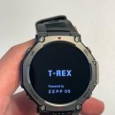 티렉스(TREX) | [러닝&하이록스 스마트워치 추천] 어메이즈핏 티렉스3 Trex-3 가성비 내돈내산 구매 후기