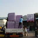 상주농협하나로마트 이미지