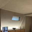 스테이바누 이미지