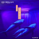 소래역사관 | 소래역사관: 인천 남동구 숨은 역사 명소