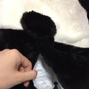 꼬끼용