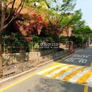 장안로51번길 이미지