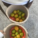 용준농장 이미지