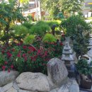 푸른꽃방 | 이중본 가족들과 함께한 중화요리 외식 경험 후기 ,유니짜장 맛집