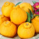 소연농장 이미지