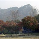 2007년11월4주(25일) 주흘산 1,106m(경북 문경-단풍산행) 이미지