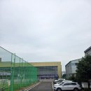 복싱아레나 | 왕초보 수영강습 7주차ㅣ아레나 수영복, 자유형 시작