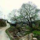 팔공산왕건길 3코스 이미지