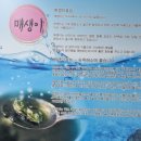 김명자굴국밥성산점