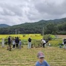 맘모스약국 이미지