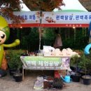 장성백양농원