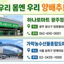 광산구-043 네이버블로그