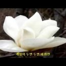 계절이 두 번 바뀌면-방미 이미지