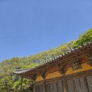 영주 부석사 무량수전 | 영주 부석사 무량수전 주차장 시간 돌 방문 꿀팁 경북 가볼만한곳