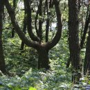 사하구-09 이미지