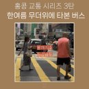 심현보의 작은배낭 3탄 | 여름 홍콩 시티 버스 A11, 무더위 속에 타본 후기. 홍콩 교통 시리즈 3탄