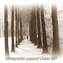 백현교차로 이미지