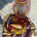 송악 낚시터 이미지