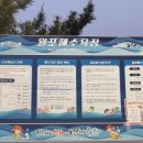 칠포펜션