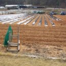 불은면-2 이미지