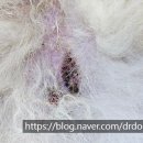 해운대조은동물병원 이미지