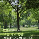잠원한강공원 피크닉 명당 (배달존+주차+돗자리 총정리)