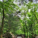 다리안 야영장 이미지