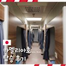 뉴세븐 | 남들 비행기 탈 때, 배 타고 후쿠오카 다녀왔습니다 뉴카멜리아호 탑승 후기