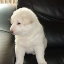 구암동554 이미지