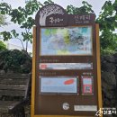 봉평복지회관 | 한라산 아랫마을 신례1리 제주 메밀꽃 축제 현장 탐방 후기