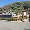 송백 이미지