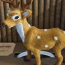 감삼동326 이미지