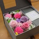 비누꽃코리아 이미지