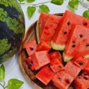 우곡농장 이미지