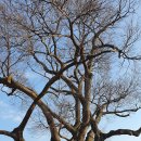 한천리농로 이미지