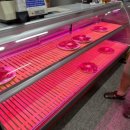 용호한우 이미지