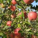 선재농장 이미지