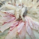 죽변항회물회