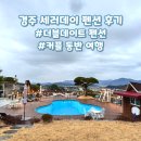[경주 여행] 경주 펜션 세러데이 후기 : 더블데이트, 커플 동반 여행, 바베큐장 펜션