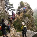 공룡발톱 이미지