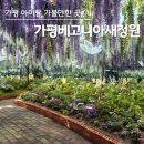 정원 | 가평가볼만한곳 아이와 함께 다녀온 베고니아새정원 솔직후기